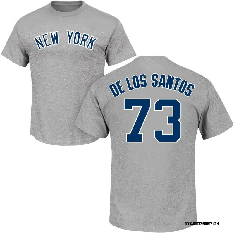 Men's New York Yankees ＃73 Yerry de los Santos Gray Roster Name & Number T-Shirt